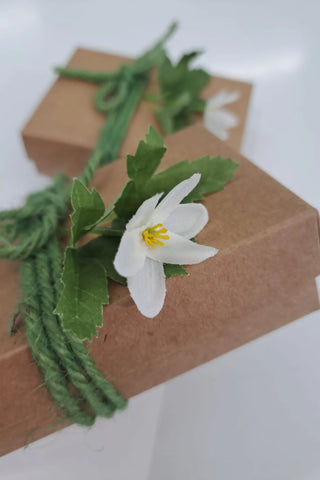 Kodinonnen lahjakortti